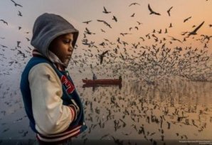 26 лучших фото с конкурса National Geographic 2019 Travel Photo Contest