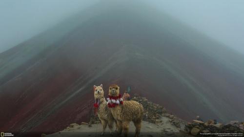 26 лучших фото с конкурса National Geographic 2019 Travel Photo Contest