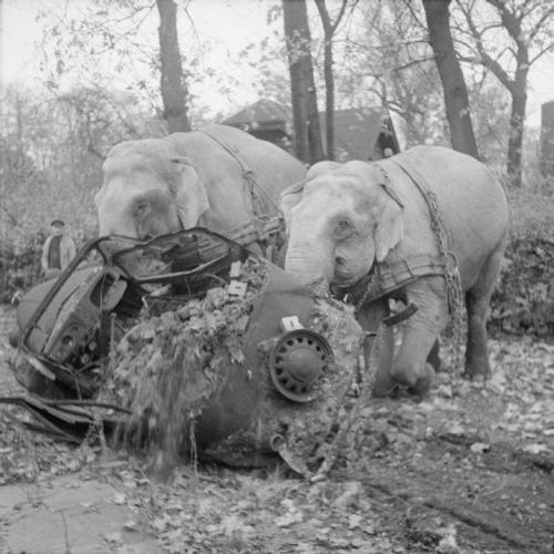 Уникальные архивные исторические фотографии