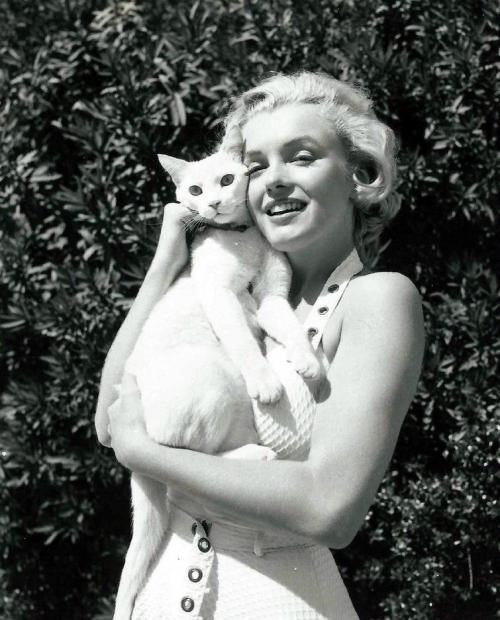 25 редких исторических фотографий и малоизвестных снимков звезд