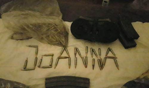 За голову датской студентки, уничтожившей 100 солдат ИГИЛ, назначили награду  млн