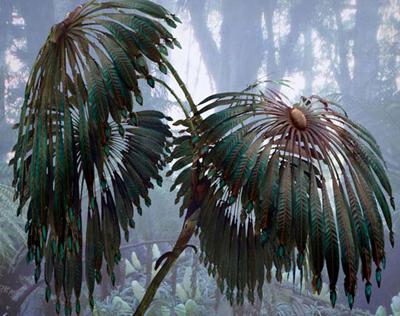 Уникальные кадры со съемочной площадки «Аватара»