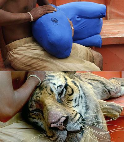 Знаменитые киносцены до наложения визуальных эффектов