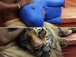 Знаменитые киносцены до наложения визуальных эффектов