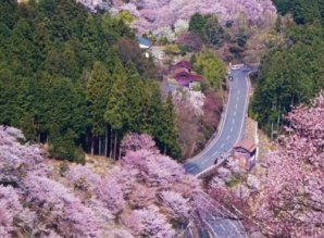 8 самых инстаграмных мест мира, куда все едут сфотографироваться