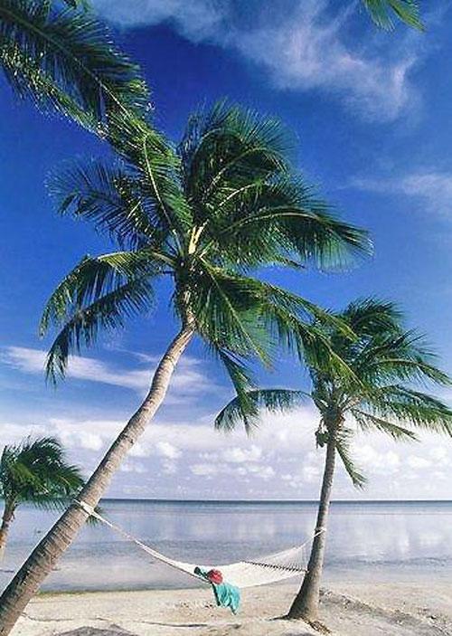 Райский уголок, который чуть не купил Абрамович