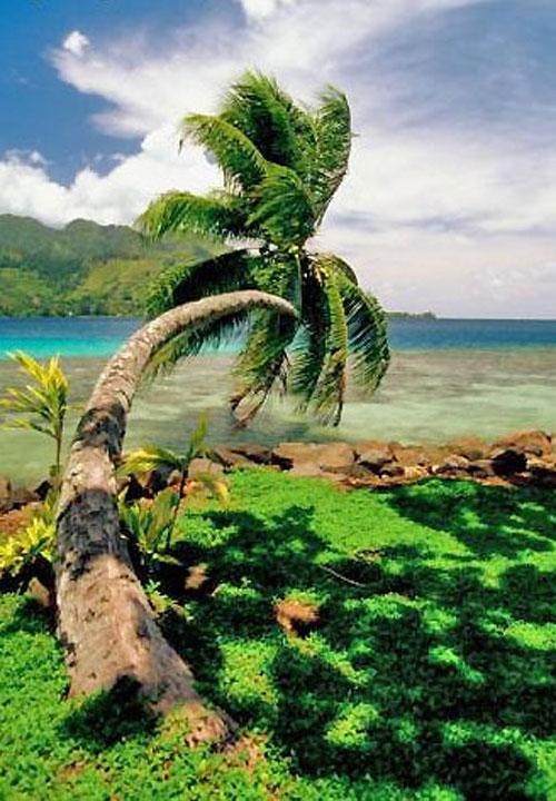 Райский уголок, который чуть не купил Абрамович