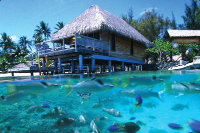 ТОП-5 лучших бунгало над водой