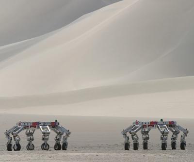 Роботы. Взгляд в будущее