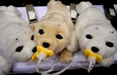 Роботы. Взгляд в будущее