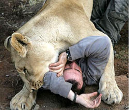 «Заклинатель зверей» общается с львами по-человечески