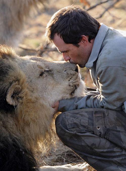 «Заклинатель зверей» общается с львами по-человечески