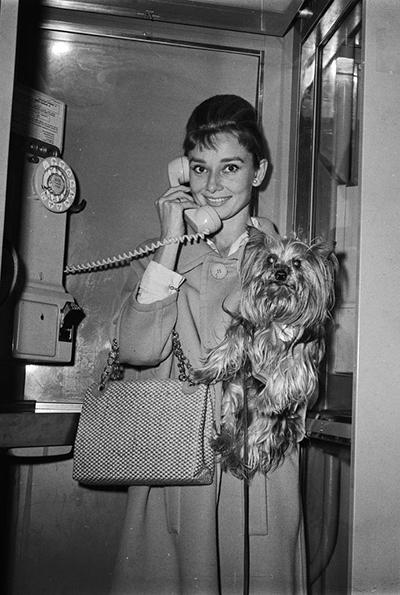 Фотоальбом легенды: правила жизни Одри Хепберн