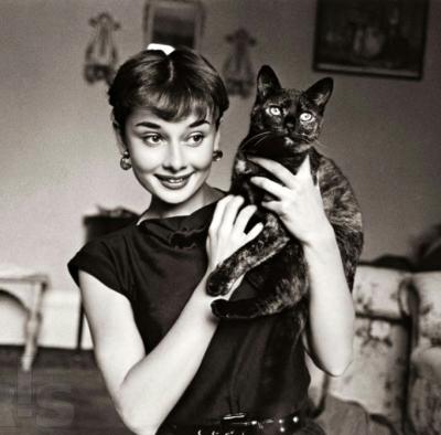 Фотоальбом легенды: правила жизни Одри Хепберн