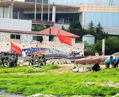 Водоросли оккупируют берега Китая