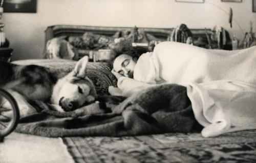 Знаменитости, которые пропали без вести