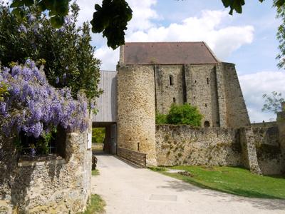 Самые знаменитые замки Франции. Часть 4