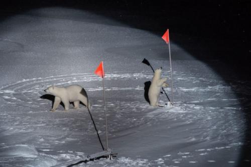 Самые интересные кадры с престижного конкурса World Press Photo 2019