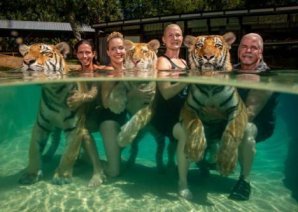 Самые интересные кадры с престижного конкурса World Press Photo 2019