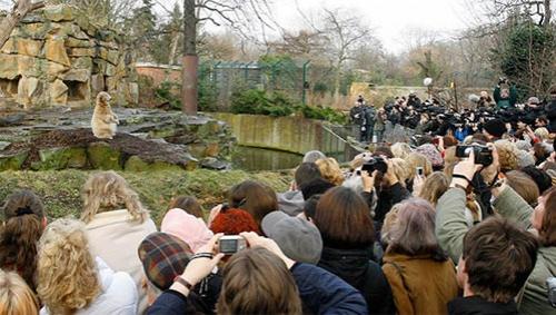 На день рождения Кнут получил пряник