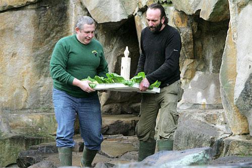 На день рождения Кнут получил пряник
