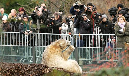 На день рождения Кнут получил пряник