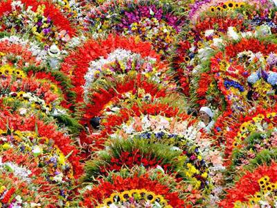 Самые знаменитые цветочные фестивали мира