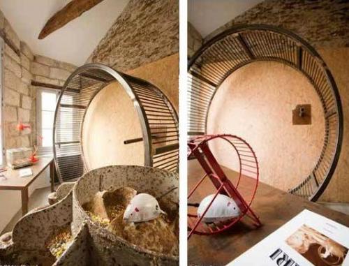 В шкуру хомяка можно влезть за 99 евро