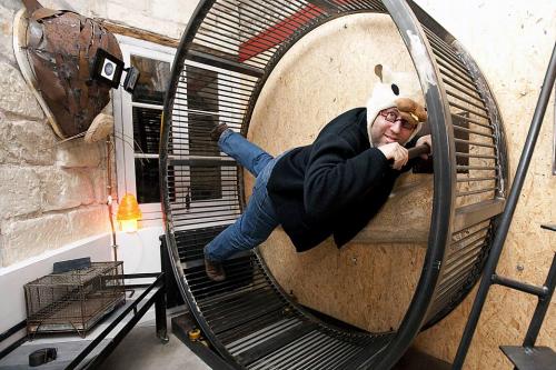 В шкуру хомяка можно влезть за 99 евро