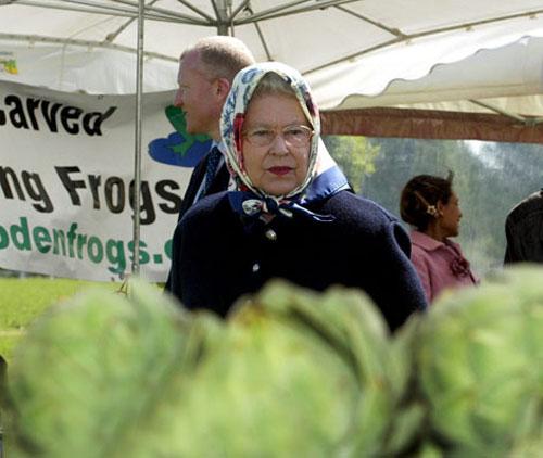 Что под мантией у королевы?