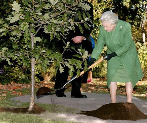 Что под мантией у королевы?