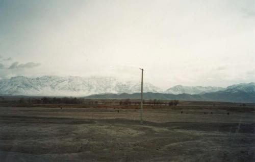 Редкие фото Усама бен Ладена и его окружения