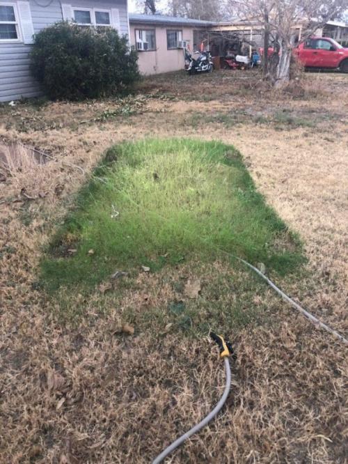 15 удивительных ситуаций, когда природа ворвалась в цивилизацию