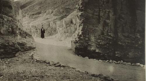 Проклятие гробницы Тутанхамона: история, правда и вымыслы