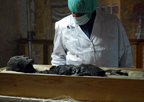 Проклятие гробницы Тутанхамона: история, правда и вымыслы