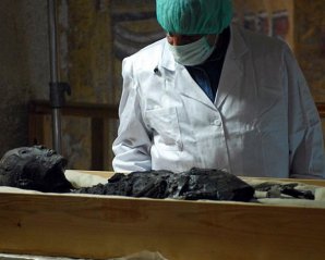 Проклятие гробницы Тутанхамона: история, правда и вымыслы