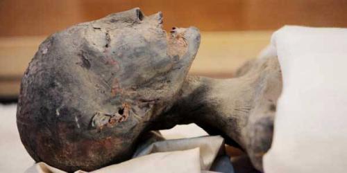 Проклятие гробницы Тутанхамона: история, правда и вымыслы