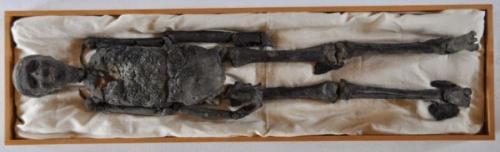 Проклятие гробницы Тутанхамона: история, правда и вымыслы