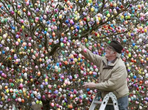 В Германии на дереве "растет" почти 10000 пасхальных яиц