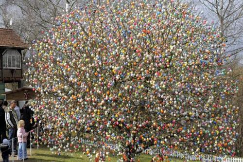 В Германии на дереве "растет" почти 10000 пасхальных яиц