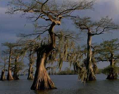 Самые страшные места на планете