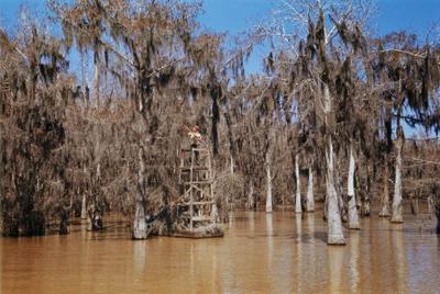 Самые страшные места на планете