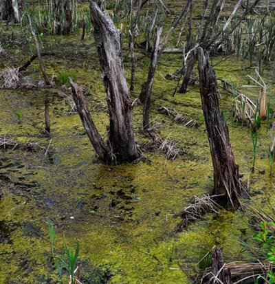 Самые страшные места на планете