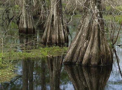 Самые страшные места на планете
