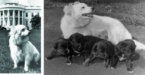 Сгоревшие заживо и другие тайны космической программы СССР