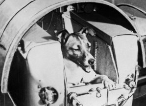 Сгоревшие заживо и другие тайны космической программы СССР