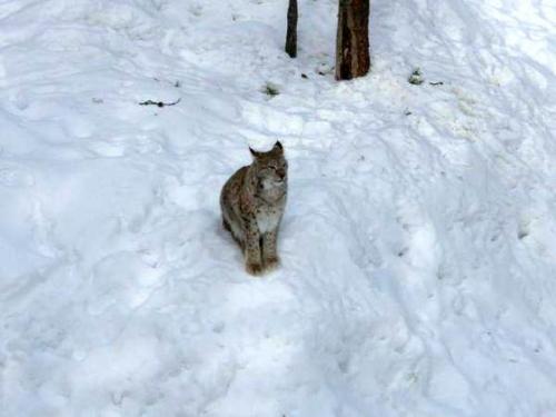 Топ-10 лучших зоопарков мира