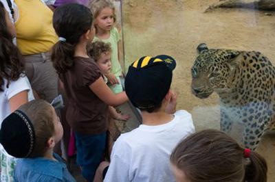 Топ-10 лучших зоопарков мира