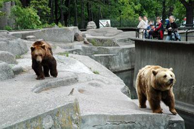 Топ-10 лучших зоопарков мира