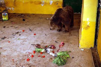 Топ-10 лучших зоопарков мира